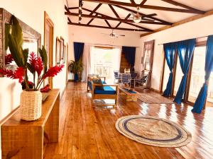 博卡斯德尔托罗Casa Le Parc - Main Street的客厅铺有木地板,配有蓝色窗帘