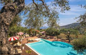 a pool with chairs and umbrellas and a tree at Lavanda trilo in Caramagna Ligure