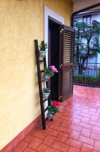 una casa con piante in vaso sul lato di una porta di OPUNTIA DELL'ETNA BIKE HOUSE a Mascalucia