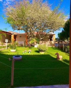 a yard with a house with a tree and a frisbee at Pousada Sonho Meu in Piranhas