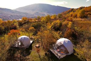 two tents in a field with trees and mountains at Elsesi Racha Glamping in Ambrolauri