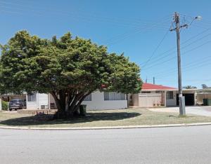 un albero sul lato di una strada di Cozy Inn a Perth