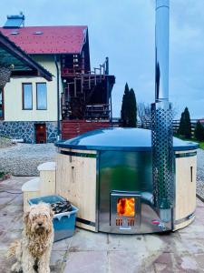 a dog sitting in front of a stove at Casa Genesini in Miercurea-Ciuc