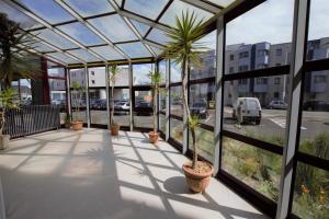 a glass greenhouse with palm trees on a balcony at L'Évasion - Studio - Vue mer in Calais