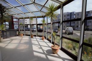 una serra di vetro con palme sul balcone di L'Évasion - Studio - Vue mer a Calais