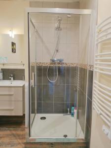 a shower with a glass door in a bathroom at VITTEL LOC'S - Le 215 Classé 4 étoiles, Spacieux et calme in Vittel