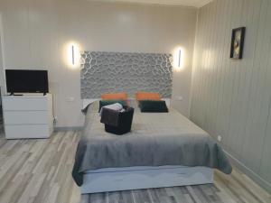 a bedroom with a large bed and a flat screen tv at VITTEL LOC'S - Le 215 Classé 4 étoiles, Spacieux et calme in Vittel