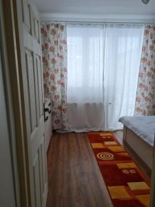 a room with a door and a window and a rug at DDDD Apartament in Cavnic