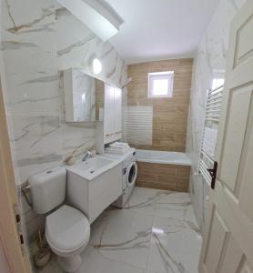 a bathroom with a toilet and a sink and a tub at DDDD Apartament in Cavnic