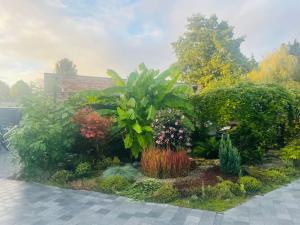un jardín con flores y plantas en una acera en Prachtig guesthouse met gratis parkeren, en Maasmechelen
