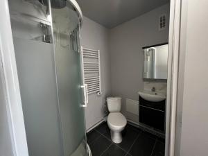 a bathroom with a toilet and a sink at Chambre privée dans appartement en colocation 4 chambres Longjumeau proche Orly, Massy in Longjumeau