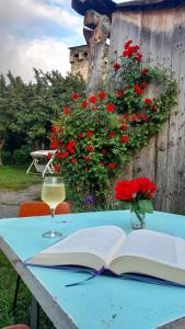 Giardino di Guesthouse of Irina