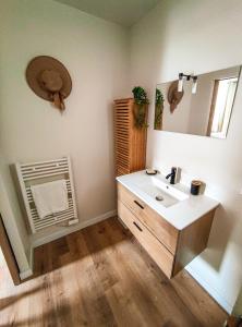 een badkamer met een wastafel en een spiegel bij Nouveau T2 en face du lac - Meublé tourisme - Garage privé in Évian-les-Bains