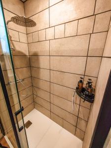 een badkamer met een douche bij Nouveau T2 en face du lac - Meublé tourisme - Garage privé in Évian-les-Bains