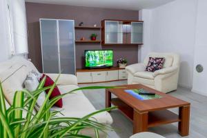 a living room with two chairs and a tv at Guesthouse Franjkovic in Seliste Dreznicko