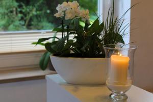 a candle sitting on a table next to a potted plant at Boutique Hotel Rosengarten Hamburg in Hamburg +57 photos