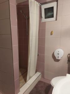 La salle de bains est pourvue d'une douche, de toilettes et d'un lavabo. dans l'établissement Vila Georgeta, à Zărneşti
