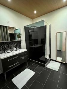 bagno con doccia e lavandino di Jadore - Appartements meublés Mulhouse Ville a Mulhouse