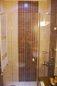 a shower with a glass door in a bathroom at Room in a neoclassical house - ladybug in Kastoria