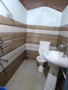 a bathroom with a toilet and a sink at HimWanderer Camps & Cottages Pangot in Nainital