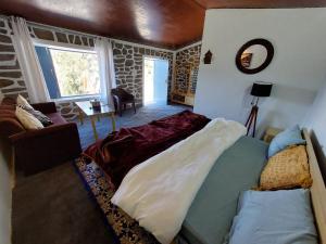 ナイニタールにあるHimWanderer Camps & Cottages Pangotのリビングルーム(ベッド1台、ソファ付)