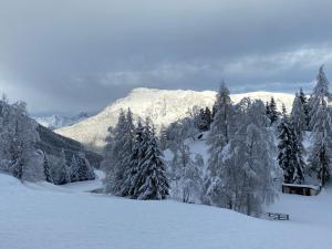 Ferienwohnungen Ötztal v zime