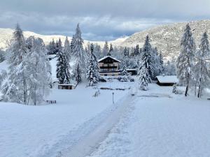 um alojamento de turismo selvagem na neve com árvores cobertas de neve em Ferienwohnungen Ötztal em Sautens