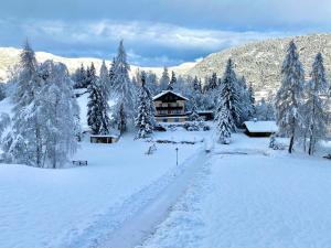 Ferienwohnungen Ötztal في ساوتينس: كابينة خشب في الثلج مغطاة بالثلوج