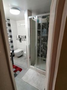 a bathroom with a shower and a toilet at Chambres d'Hôtes de l'Avison in Bruyères