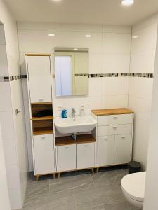 a bathroom with a sink and a mirror and a toilet at Zollernalb-Apartment MG in Albstadt
