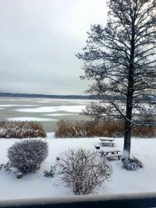 L'établissement Lilaste.eu en hiver