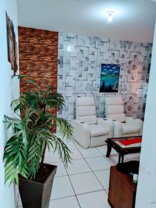 un soggiorno con divano e pianta di Casa aconchegante a Campo Grande