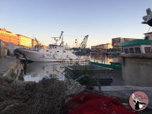 Táj az apartman közelében