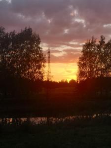 una puesta de sol con dos árboles y una torre de telefonía móvil en Mummon saunamökki en Helsinki