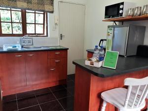 uma cozinha com um balcão com um lavatório e um frigorífico em Pine Cone Corner em George