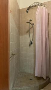 a shower with a shower curtain in a bathroom at Appartamentino in Pigneto storico in Rome