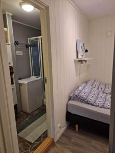 カベルヴォーグにあるApartment in Kabelvågのベッド1台とバスルームが備わる小さな客室です。