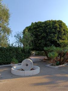 un parque con un gran árbol y una estatua en Masseria Galleppa - Rooms, Pool and Relax, en Monopoli