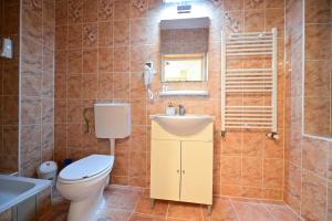 a bathroom with a toilet and a sink and a mirror at FLH - Kaly's Place in Sibiu