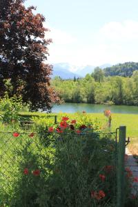 un jardín con flores, una valla y un lago en Ferienwohnung Lech en Pflach