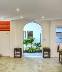une pièce vide avec une grande fenêtre ornée de plantes dans l'établissement Island Ambience, à Maafushi