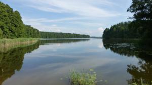 Przyroda w pobliżu tego domu wakacyjnego