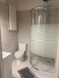 ein Bad mit einem WC und einer Glasdusche in der Unterkunft Villa Stephanie in Paleokastritsa