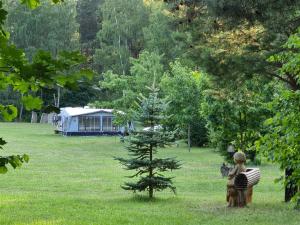 Ogród w obiekcie Agroturystyka Camping