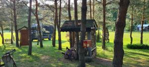 Ogród w obiekcie Agroturystyka Camping