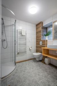 a bathroom with a shower and a toilet and a sink at Willa Mountain Centrum in Zakopane