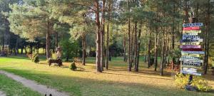 Ogród w obiekcie Agroturystyka Camping