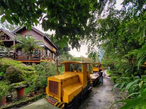 光復鄉的住宿－盛夏的軌跡，一辆黄色火车停在花园里
