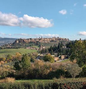 a view of a town on a hill with trees at La casa di Agnese in Orvieto