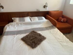 Fotografie z fotogalerie ubytování Bansko Ski To Door Studio De Luxe v destinaci Bansko